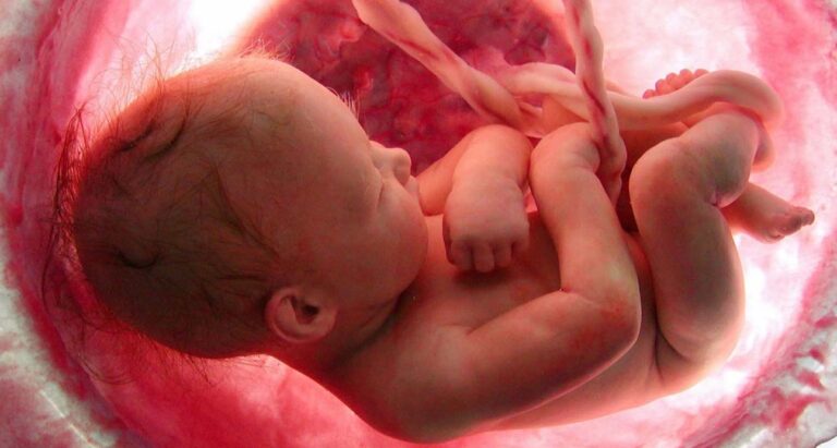 Ex satanista revela brutales rituales satánicos de canibalismo en clínicas de aborto